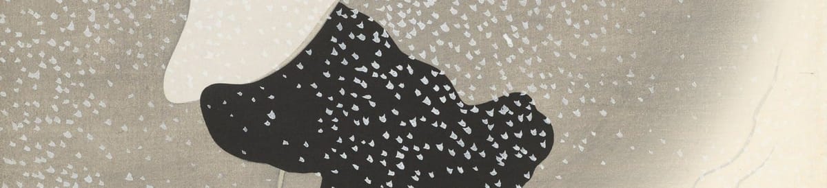 JavaScript Logical and Conditional Operators Explained